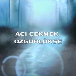 Acılara Tutunmak Akustik