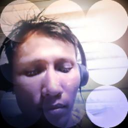 မနှင်းဆီ Rose