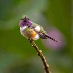 เธอคือดวงใจ