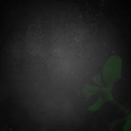 Ben Seni Çok Sevdim