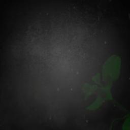 Unuttum Gitti ☀️🌙