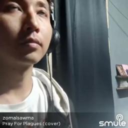 Pray For Plagues (cover)