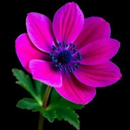 കബറാണ് മുന്നില്  Ⓕⓤⓛⓛ ⓈⓄⓃⒼ