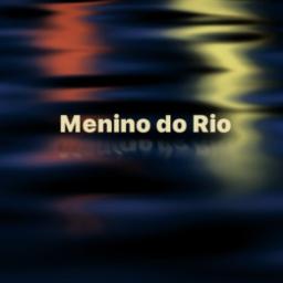 Menino do Rio - voz e violão