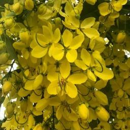 {HD}💋KAHO NAA PYAAR HAI 100% CLEAR