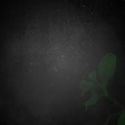 Angel - (In the arms of an Angel)