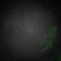 Falling Slowly (Ost. Once)