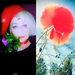 Проститься