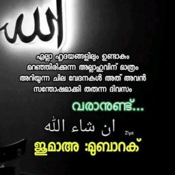 ❤️ ഒട്ടകങ്ങൾ വരി വരി വരിയായ് ❤️ ottakangal