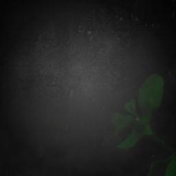 İSTANBUL BAHANE " Şiir "