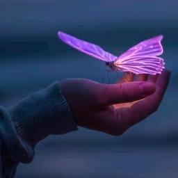 Main Hoon Na (Short Cover)