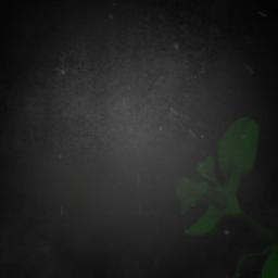 Couleur Menthe à l'eau ( Remix )