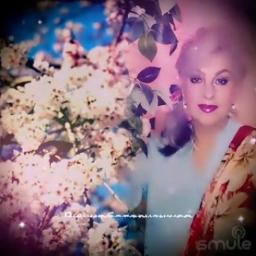 Вишня белоснежная