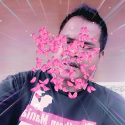 💚₭∈♄!∟∆⋂₲∆⋂ Tongkat Tongkat Tongkat Tongkat