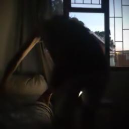 💕HQ💕Malargal ketten Full song