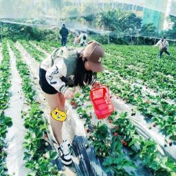 "Yolanda - 💛 Yolanda Yolanda Yolanda Yolanda Yolanda" by _On7_