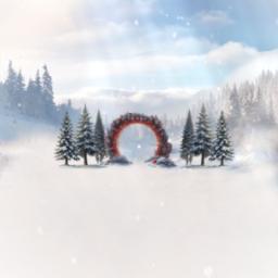 Я привыкаю к свободе