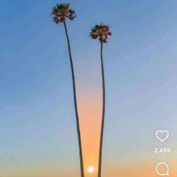 🍁°OH ANGIN°🍁 　　　　　　　　　　　　　　　　　　　angin angin