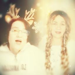 Лесной олень