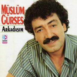 Tabiatın Bir Cilvesi