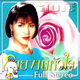 จริงหรือเปล่า