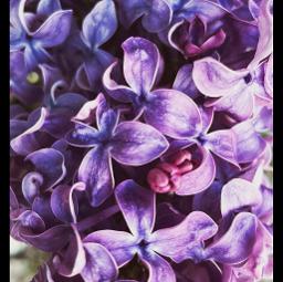 Kann mich irgendjemand hören?