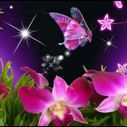 ◆💙°MALAM°💙◆