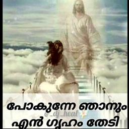 Pokunne Njanumen Graham ShOrt @AnnA