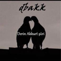 Neyin Kavgasını Verdim  [Şiir]