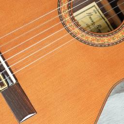 TNWM Acoustic Instrumental