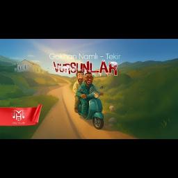 Vursunlar Roman Temiz