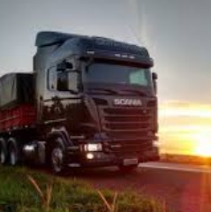 Tema Tapetão Musical