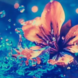 မေတ္တာဖျန်းမှလန်းဆန်းမယ် 🌸