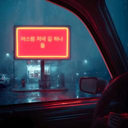 (김연자) 수은등(남키)(HERO)