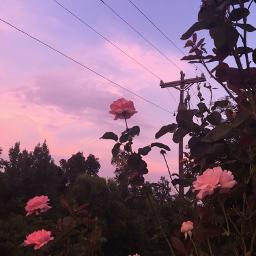 I LIKE U (w/vocals)