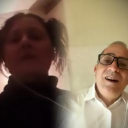 Fly On the Windscreen 🌳👻🌳 Blues Cover