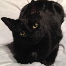 Where Do I Begin (Lyric) - Where Do I Begin Love Story HD