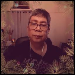 **A PERFECT CHRISTMAS**