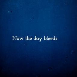 Someone You Loved - 💔💔