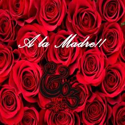 SIEMPRE A MI💝RECUERDA QUE ME TIENES A MI