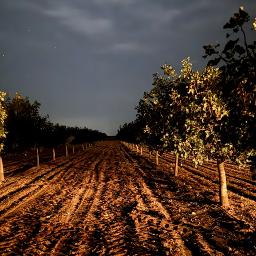 The Best Of Me - The Best Of Me