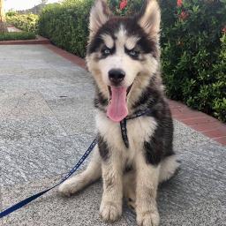 အပြုံးကိုအပြီးငှားခဲ့ - Unicode