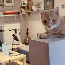 Echolie - Mehdi | Mehdi