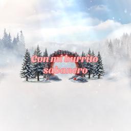 Navidad- Mi burrito Sabanero