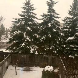 Christmas Prayer, A - I'm Dreaming of a White Christmas