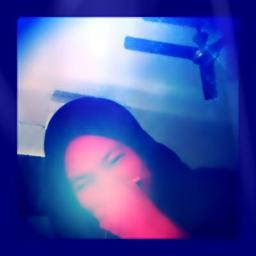 Bunga-Ara (BEST QUALITY)