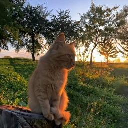 Торопился опоздать