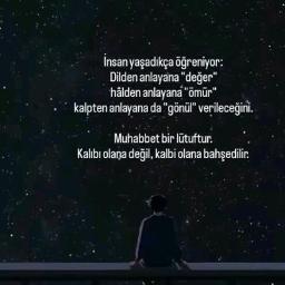 Gamzeler (Orjinal Profesyonel)