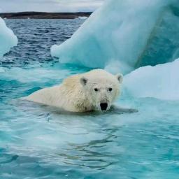 UMPOMO -(Akustik)slow version umpomo