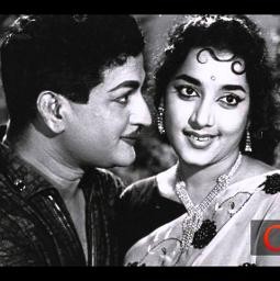 🌻vijju - naa sari neevani nee guri nenani